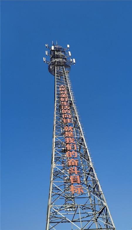 驱车百里 法护绿水青山